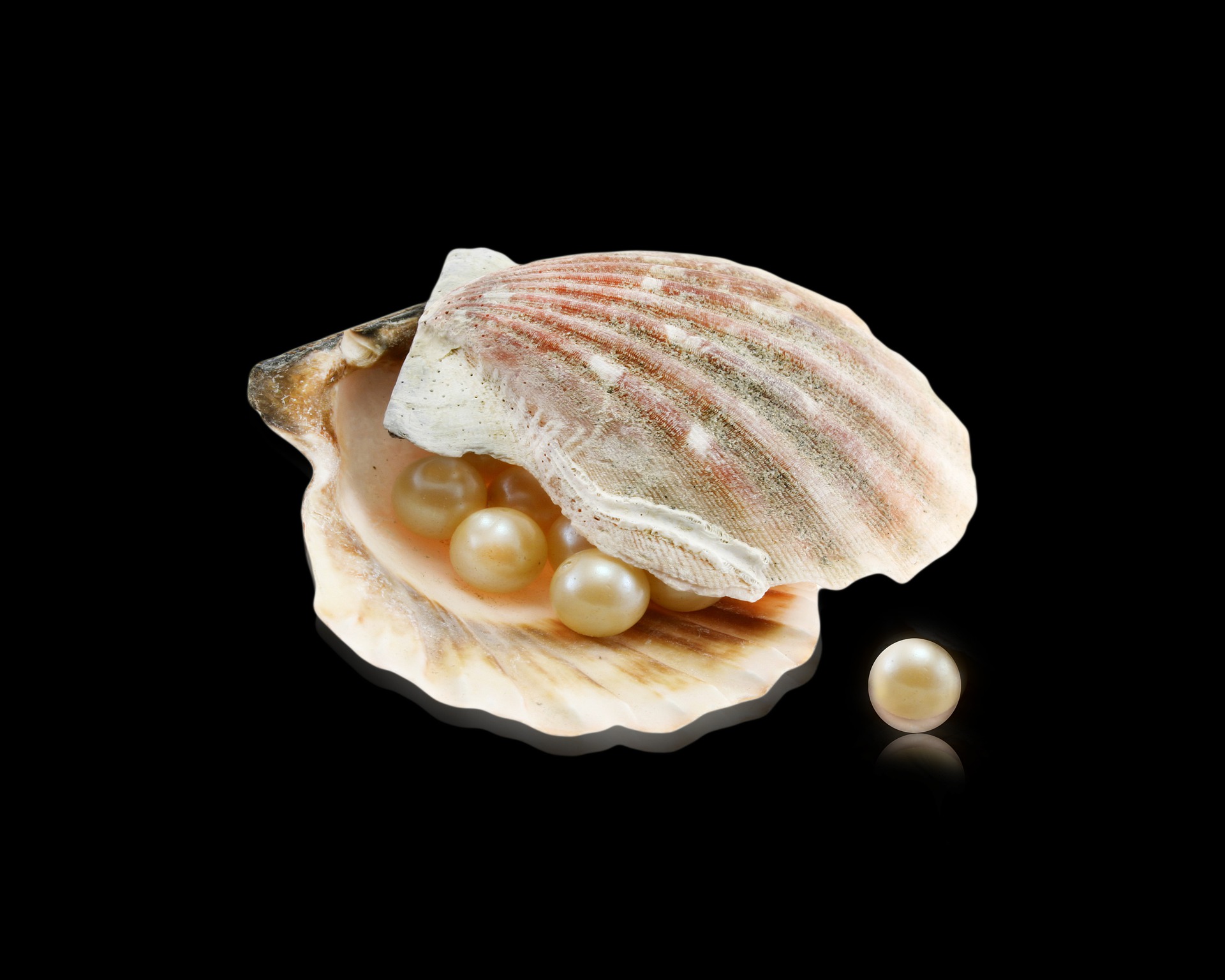 Birth Of a Pearl
